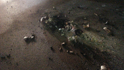 شاهد فشل إطلاق إطلاق صواريخ للقبة الحديدية بالقرب من اساف هروفيه